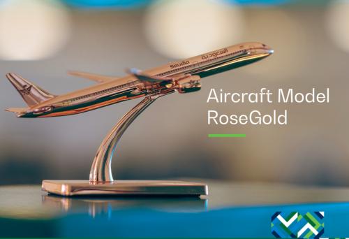 Aircraft Model RoseGold