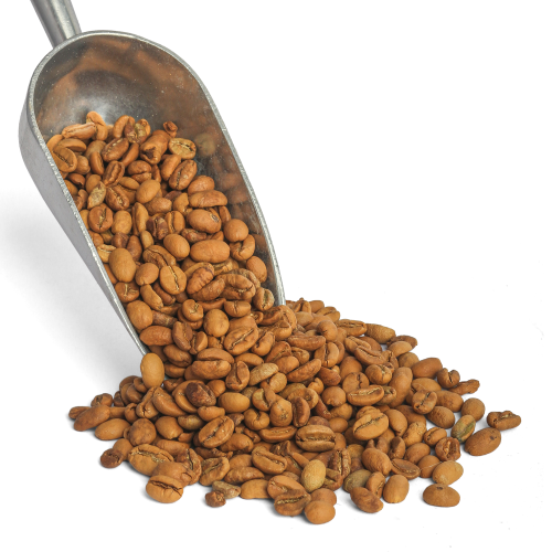 بن هرري باشنفر وسط