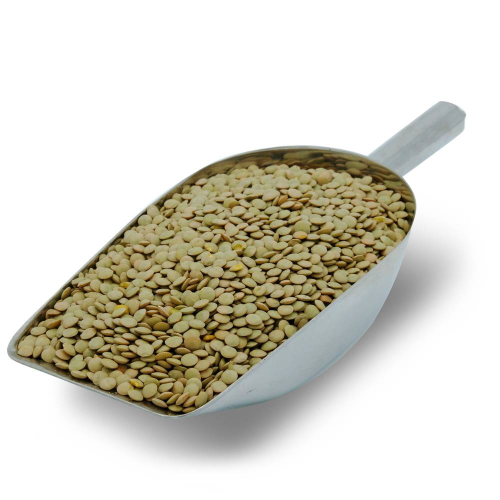 عدس ابو جبه