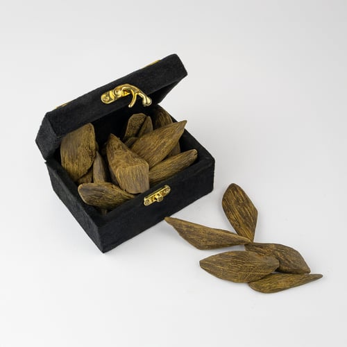 عود سوبر موروكي