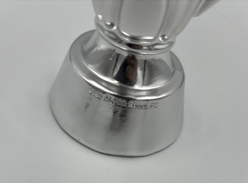 مجسم كأس النخبة- 21 CM