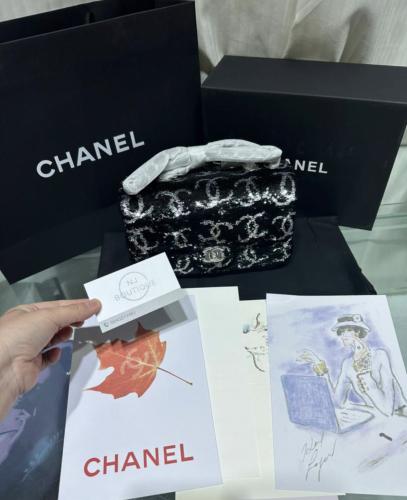 20cm Chanel bag