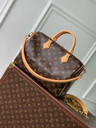 لوي فيتون Speedy Soft 30 Boho مقاس30cm