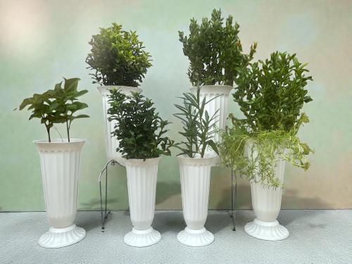 Tall vases