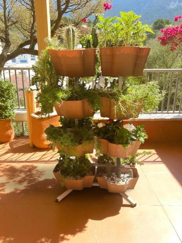 Miniature Garden 1