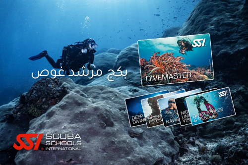 بكج مرشد الغوص | Divemaster Package