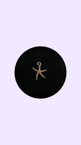 A slender starfish
