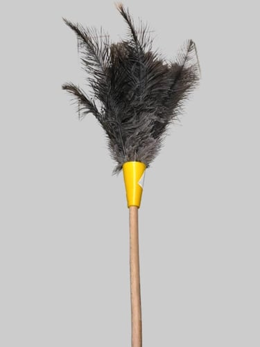 منفضة غبار ريش بيد خشبية