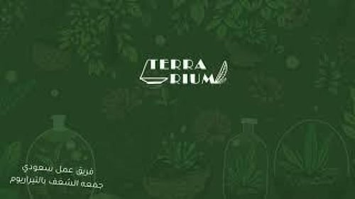 تيراريوم السنافر حجم صغير