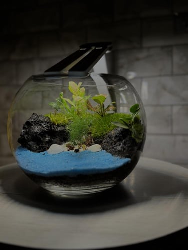 ميني تيراريوم تصميم خاص