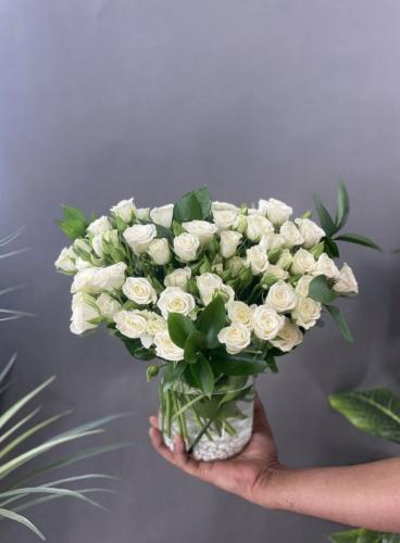 فازة عشق