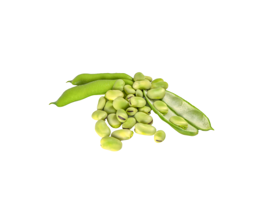 فول أخضر ( بالنصف كيلو )