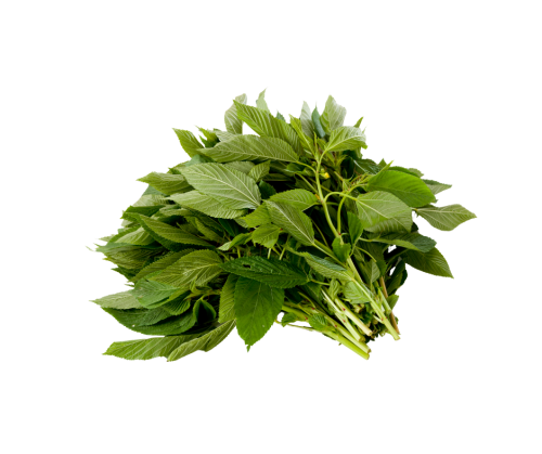 ملوخية ( بالحزمة )