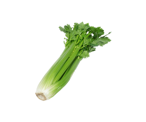 كرفس ( بالحبة )