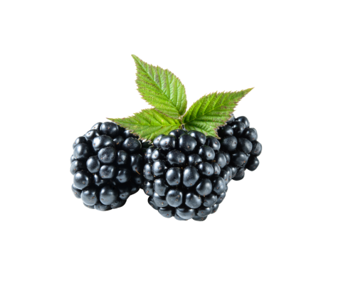 توت أسود ( علبة 150 جرام تقريباً )