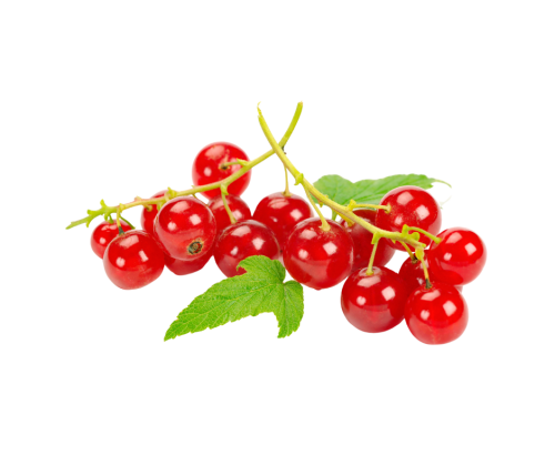 كشمش أحمر ( علبة 100 جرام تقريباً )