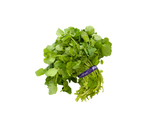 جرجير ( بالحزمة )