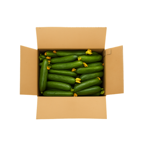 خيار ( كرتون 3 كيلو )