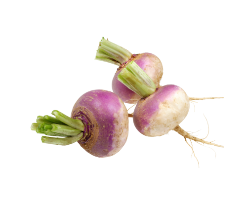 لفت ( بالكيلو )