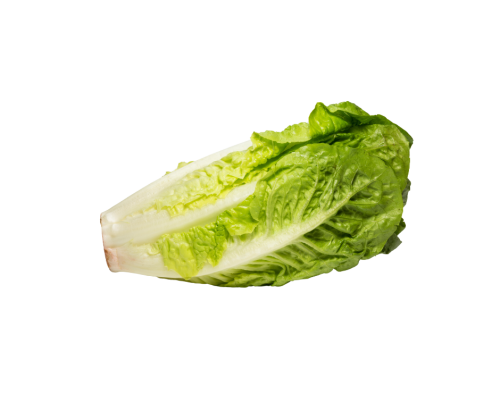 خس بلدي ( بالحبة )