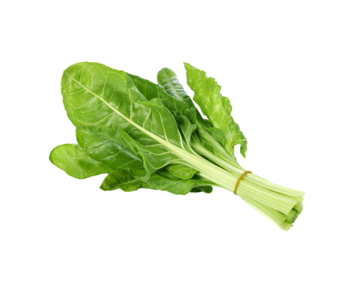 سلق (سلك) ( بالحزمة )