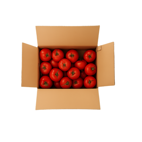 طماطم ( كرتون 3 كيلو )