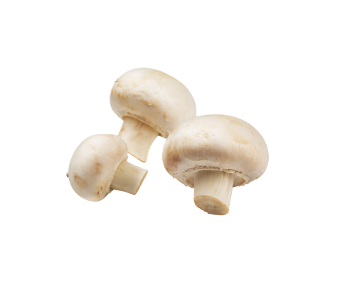 فطر أبيض ( بالربع كيلو )