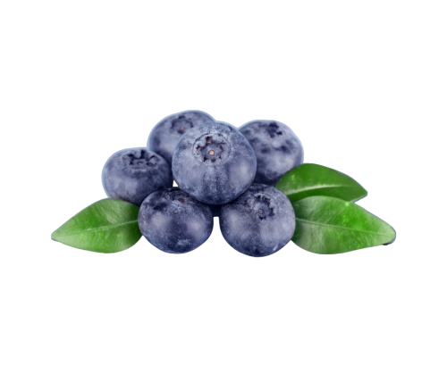 توت أزرق ( علبة 150 جرام تقريباً )