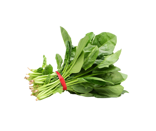 سبانخ ( بالحزمة )