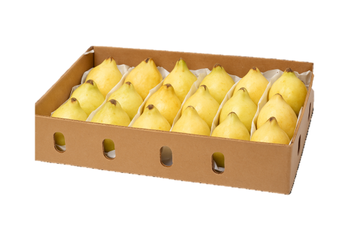 جوافة ( كرتون 1.5 كيلو )