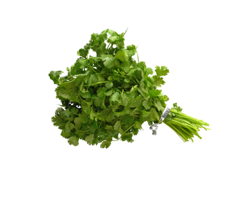 كزبرة ( بالحزمة )