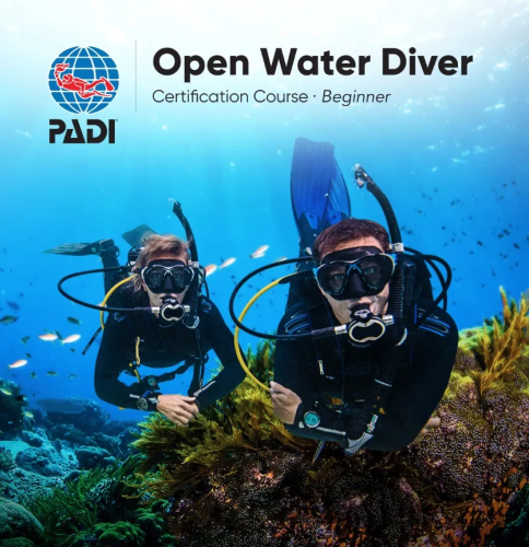 دورة بادي غواص مياه مفتوحة