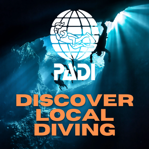 برنامج بادي اكتشاف الغوص المحلي