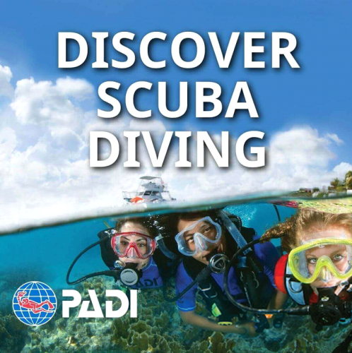 برنامج بادي اكتشف غوص سكوبا