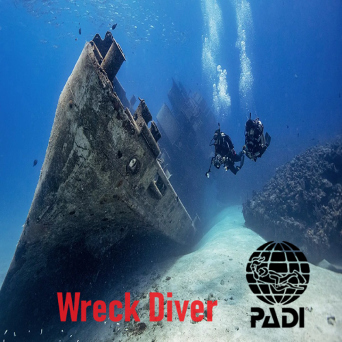 دورة بادي غواص الحطام