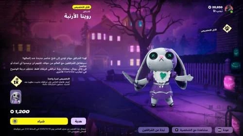 المرافق روينا الارنبه