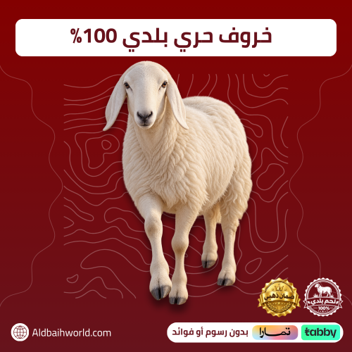خاروف حري بلدي 100% - حي