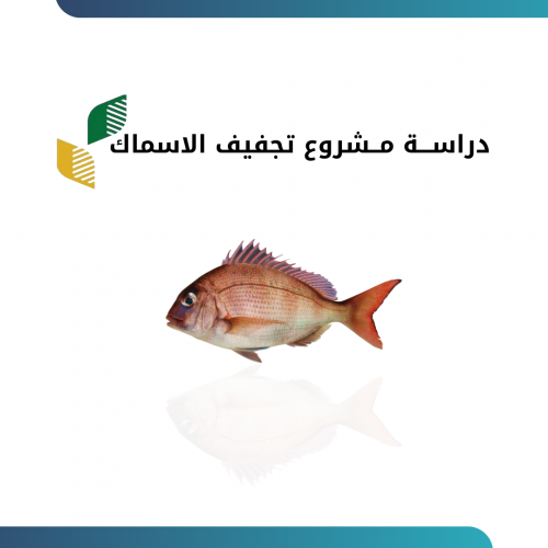 دراســـة مــشروع تجفيف الاسماك