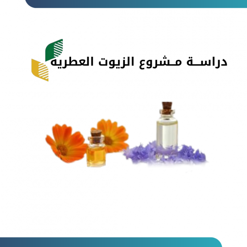 دراســـة مــشروع الزيوت العطريه