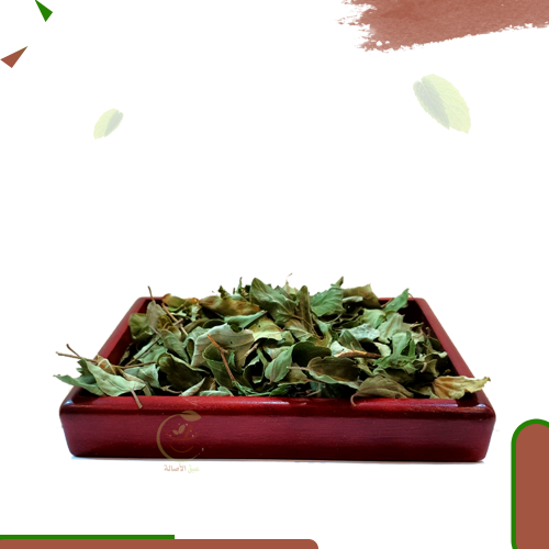 ورق سدر مجفف