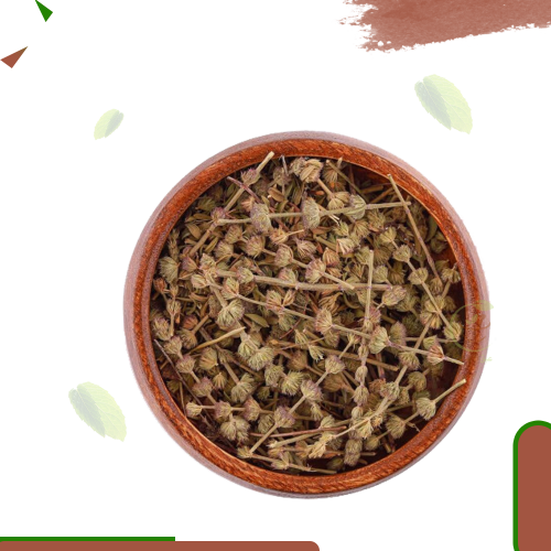عشبه زوفا (الوقيه)