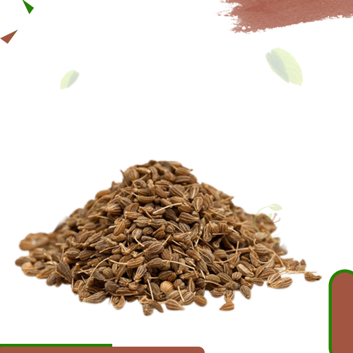 يانسون