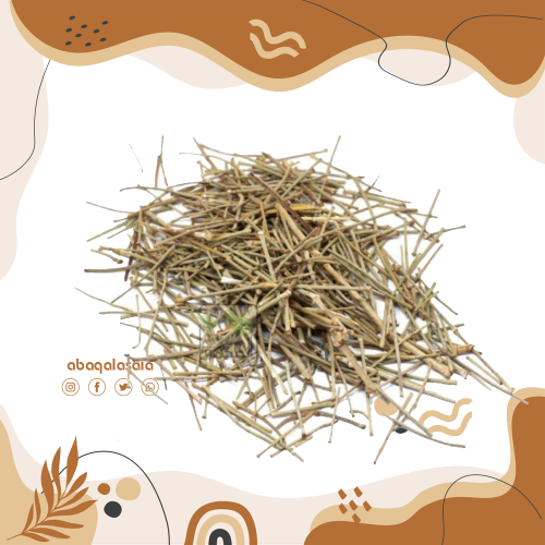 عشبة الارطة