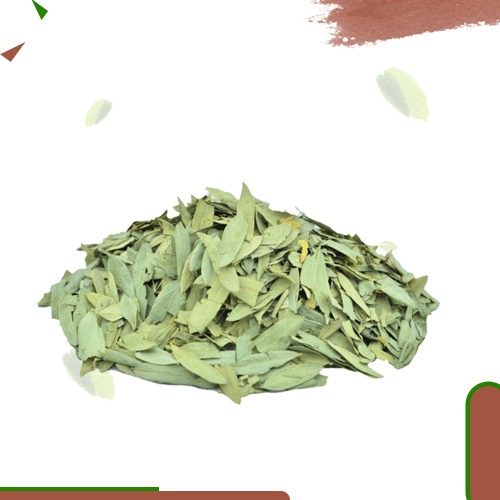 عشبة سنا مكي (الوقيه)