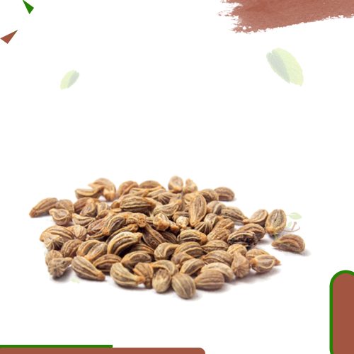 بذور البقدونس (الوقيه)