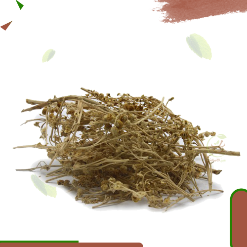 عشبة اخليليا (الف ورقة) الوقيه