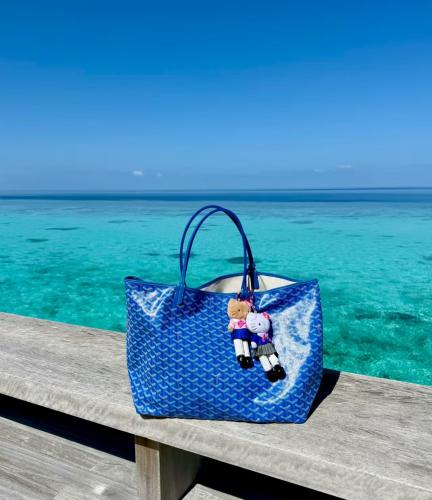 Goyard bag, width 34 cm