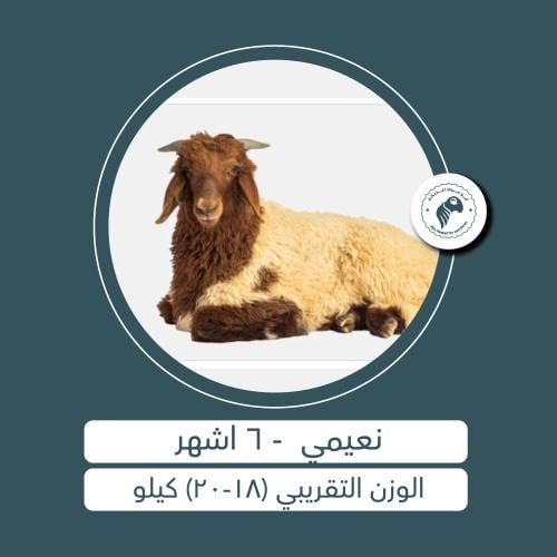 نعيمي - 6 أشهُر