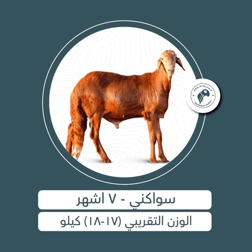 سواكني - 7 أشهُر