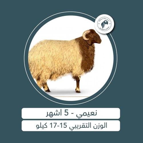 نعيمي - 5 أشهُر